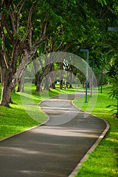 Walk way in green park.