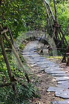 The walk way in a pakr