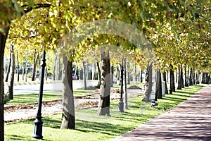 Walk way in the park