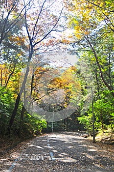 Walk way road with Korean text \