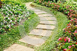 Walk Way on the seasonal flower garden