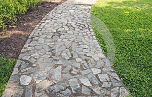 Walk way at Public park during summer, green nature