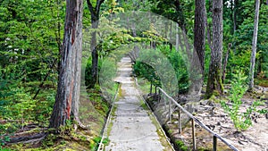 Walk way and trees at Toshodai-ji buddhist temple garden in Japan.