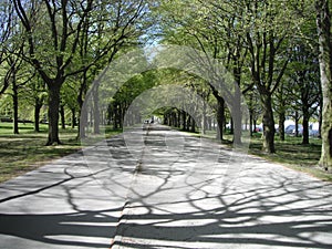 The walk way view in the hague