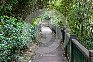 The walk way from wood for walk in sun moon lake at taiwan.