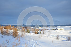 Walk through the winter landscape in Iceland