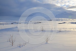 Walk through the winter landscape in Iceland