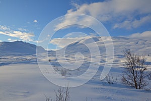 Walk through the winter landscape in Iceland