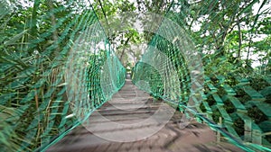 Walk at the wooden canopy bridge