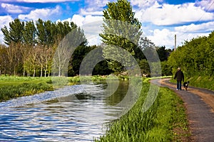 Walker and dog on towpath