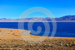Walker Lake shoreline in Nevada