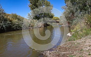 Walker River East Fork - State Recreation Area