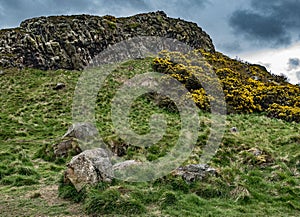 Walker`s View of Craggy Hillside and Flowering Gorse, Holyrood Park, Edinburgh, Scotland