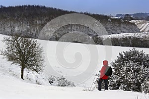 A walker on a snow covered hillside