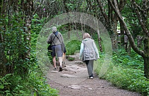 Walkers on Craggy Garden Trail Asheville North Carolina