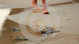 Walkers Feet On A Beach With Rock Pools