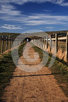 Walkers on the North Yorkshire Coastal Path