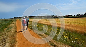 Walkers on the path heading to Blakeney from Morston Quay Norfolk.