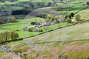 Walkers and sheep at base of Blease Fell, Lake District