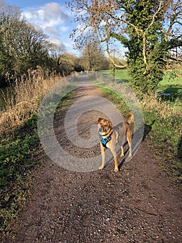 Walkies are the Best Time of Day!