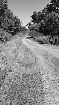 Walkin down a country road photo