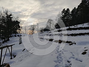 Walkin: footprints in the snow photo
