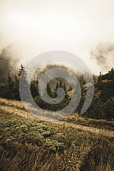 Walking above clouds in slovakian Tatra mountains - vintage retro look