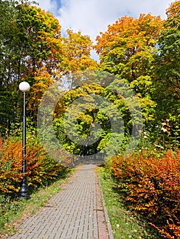 Walking alley in the autumn park