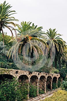 Walking alleys in Guell Park, Barcelona, Spain. Big date palms.