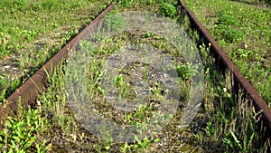 Walking along an abandoned rusty railway line overgrown with grass