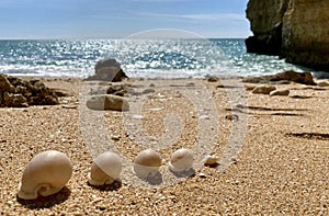 Walking along the cliffs and beach of Praia Da Coelha and Praia do Castelo in Algarve, south of Portugal