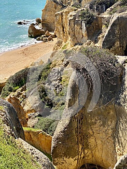 Walking along the cliffs and beach of Praia Da Coelha and Praia do Castelo in Algarve, south of Portugal