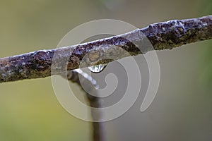 Entlang ein Fluss durch nächste deutschland 