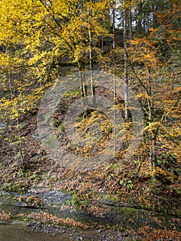 Entlang ein Fluss durch nächste deutschland 