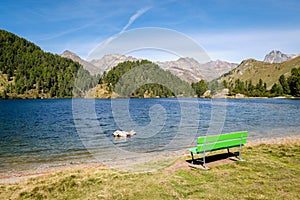 Walking along the shores of Lake Cavloc Grisons, Engadin, Switzerland