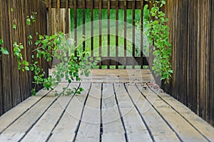 Walking Along Summerâ€™s Wooden Garden Walkway