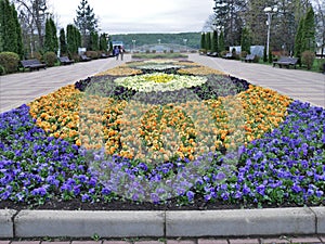 walking area in the park with a flower bed