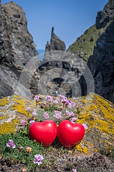 Walking around the coast path to stepper point cornwall uk