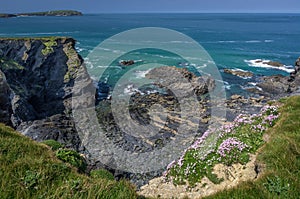 Walking around the coast path to stepper point cornwall uk