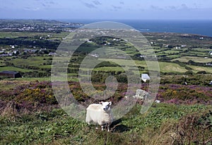 Walking around Llaneilian