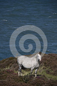 Walking around Llaneilian