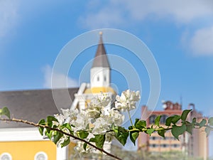 Walking around Petermaai - church and flowers