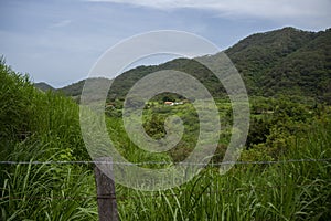 Walking around San SebastiÃÂ¡n Del Oeste photo