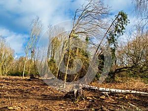 Walking around the Siddings Lane Nature reserve near Rainford in St Helens, Merseyside