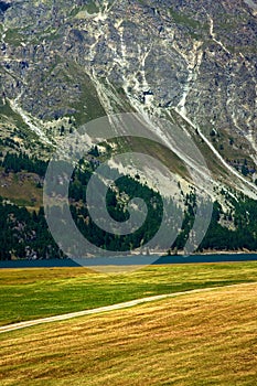 Walking around Sils Lake in Engadine Valley - Switzerland - Europe