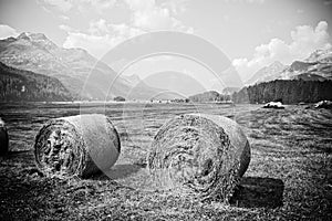 Walking around Sils lake - Upper Engadine Valley - Switzerland - toned image