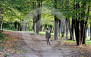 Walking in autumn forest alone