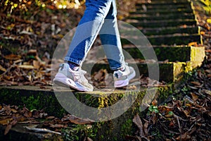 Walking in the autumn forrest