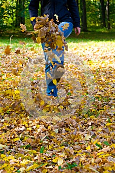 Walking through the autumn leaves