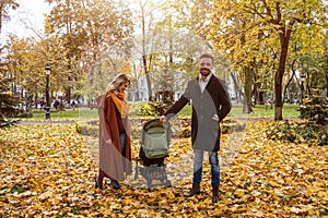 Walking in an autumn park young family with a newborn baby in a stroller. Family outdoors in a golden autumn park